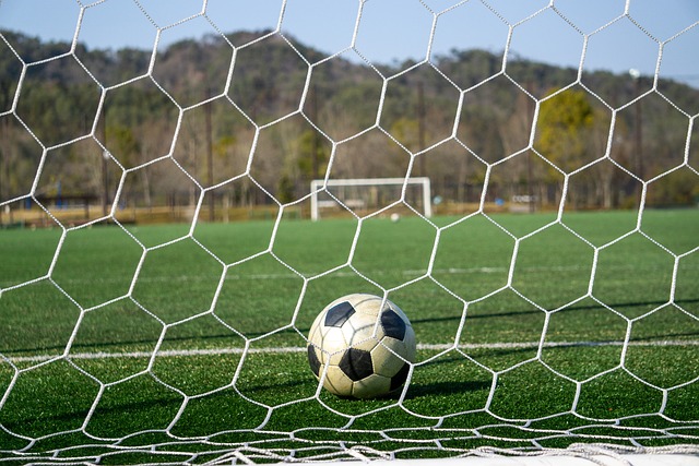 许多家庭因 许多家庭因