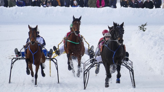 但同时也需 但同时也需