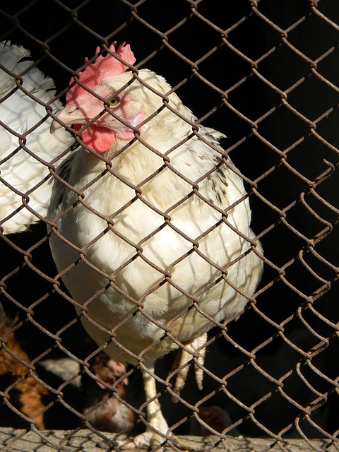 人浮想联翩 人浮想联翩