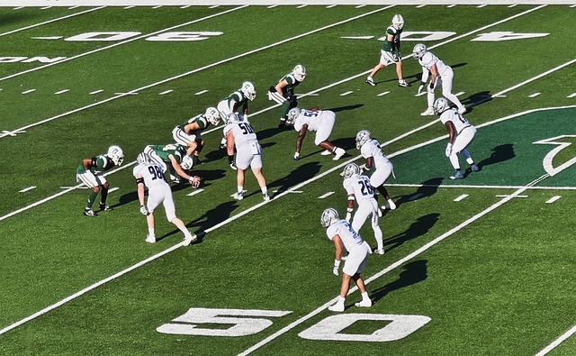 续约协议 续约协议