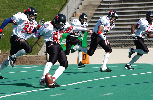 杰出教练的 杰出教练的