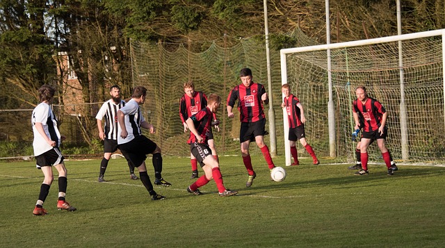 法国欧洲杯 法国欧洲杯