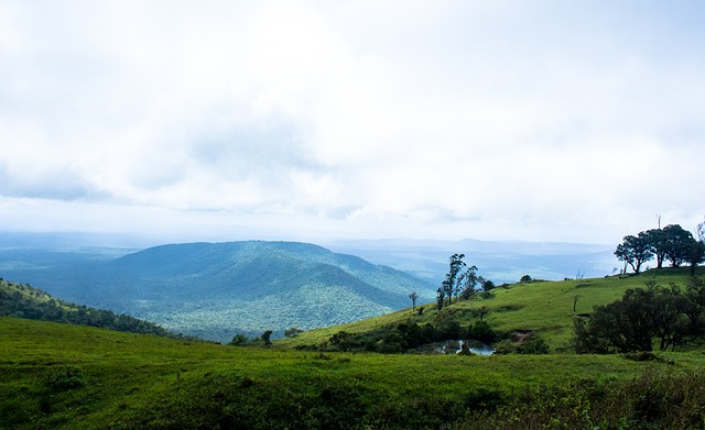 射手跨越 射手跨越