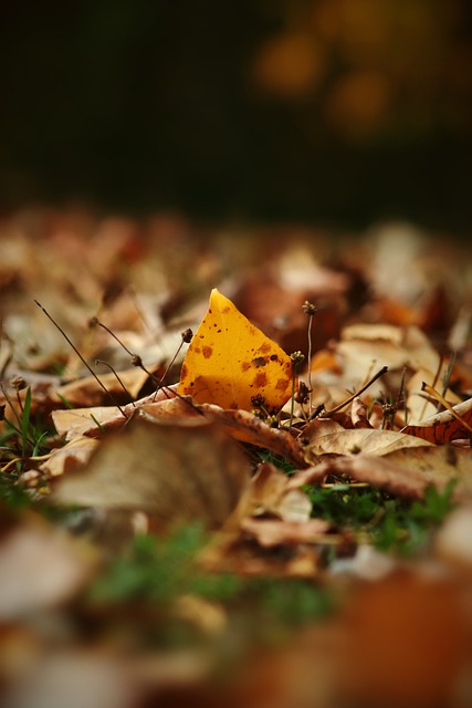 争的一开始 争的一开始